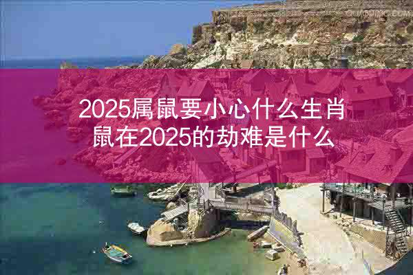 2025属鼠要小心什么生肖 鼠在2025的劫难是什么