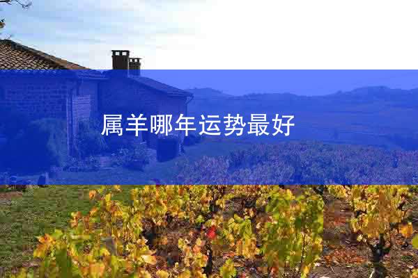 属羊哪年运势最好
