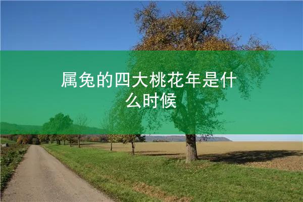 属兔的四大桃花年是什么时候