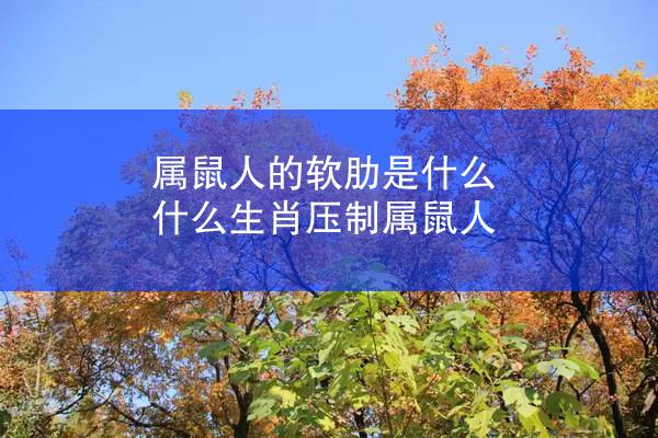 属鼠人的软肋是什么 什么生肖压制属鼠人