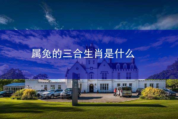 属兔的三合生肖是什么