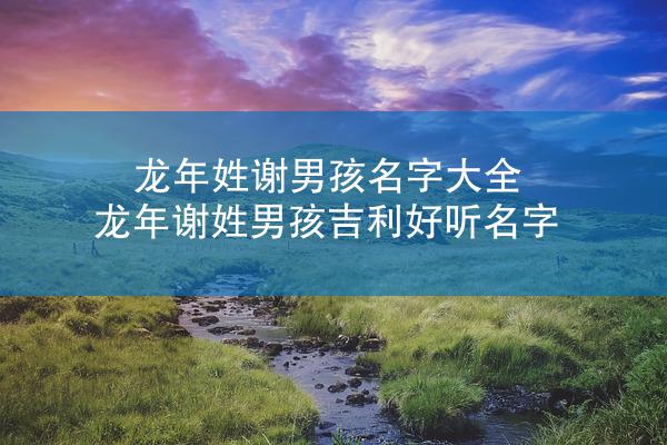 龙年姓谢男孩名字大全 龙年谢姓男孩吉利好听名字