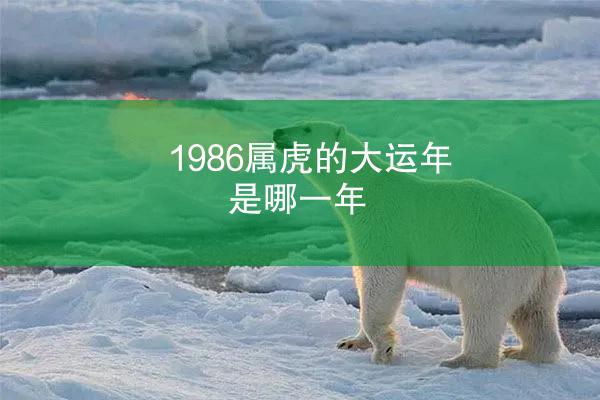 1986属虎的大运年是哪一年