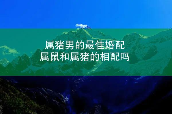 属猪男的最佳婚配 属鼠和属猪的相配吗