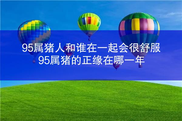 95属猪人和谁在一起会很舒服 95属猪的正缘在哪一年