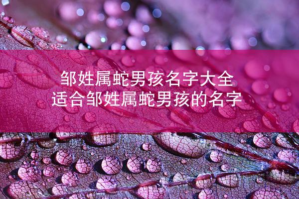 邹姓属蛇男孩名字大全 适合邹姓属蛇男孩的名字