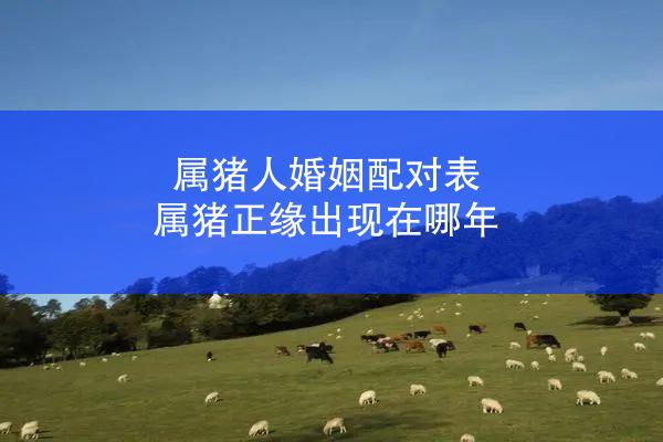 属猪人婚姻配对表 属猪正缘出现在哪年