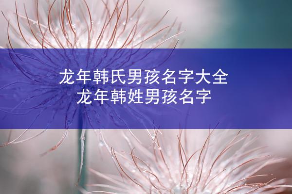 龙年韩氏男孩名字大全 龙年韩姓男孩名字