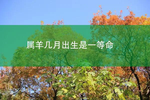 属羊几月出生是一等命