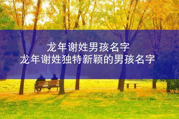 龙年谢姓男孩名字 龙年谢姓独特新颖的男孩名字