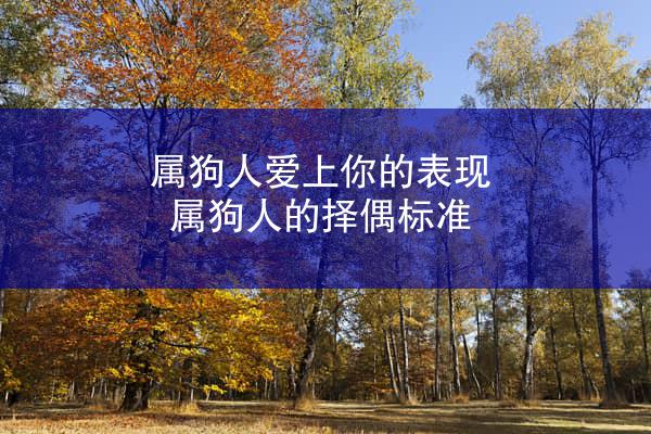 属狗人爱上你的表现 属狗人的择偶标准