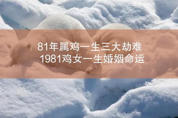 81年属鸡一生三大劫难 1981鸡女一生婚姻命运