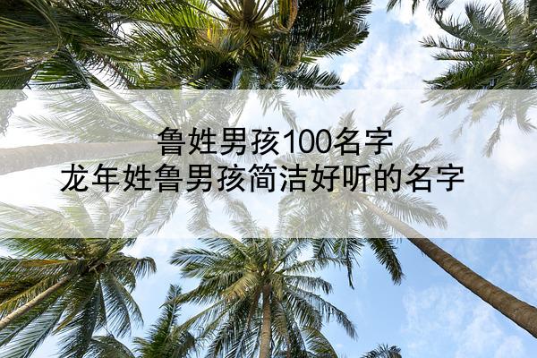 鲁姓男孩100名字 龙年姓鲁男孩简洁好听的名字