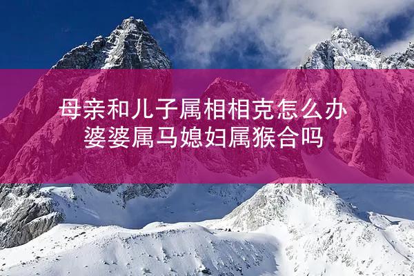 母亲和儿子属相相克怎么办 婆婆属马媳妇属猴合吗