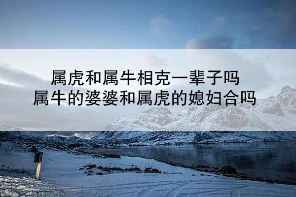 属虎和属牛相克一辈子吗 属牛的婆婆和属虎的媳妇合吗
