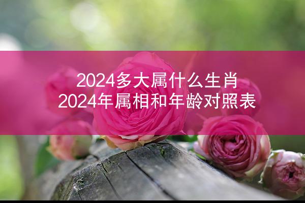 2024多大属什么生肖 2024年属相和年龄对照表