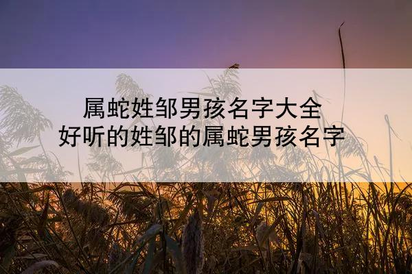 属蛇姓邹男孩名字大全 好听的姓邹的属蛇男孩名字