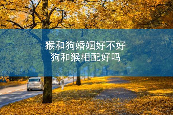 猴和狗婚姻好不好 狗和猴相配好吗