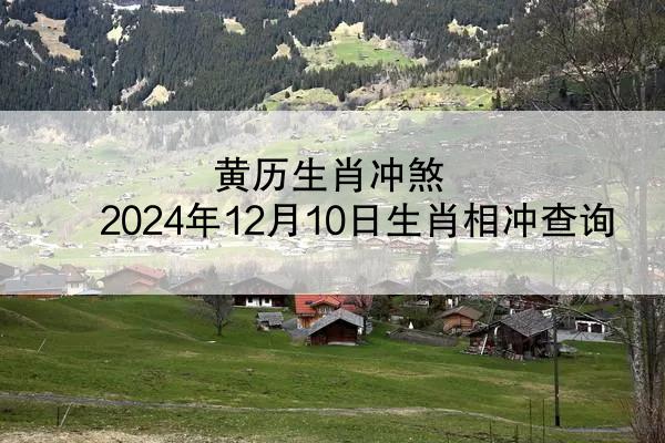 黄历生肖冲煞 2024年12月10日生肖相冲查询