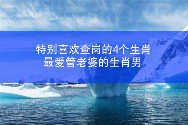 特别喜欢查岗的4个生肖 最爱管老婆的生肖男