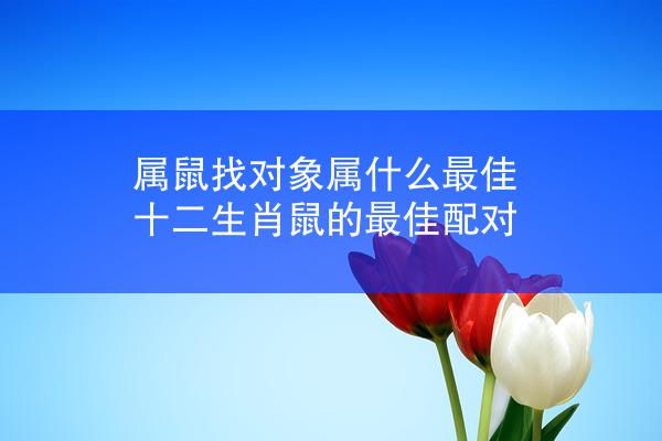 属鼠找对象属什么最佳 十二生肖鼠的最佳配对