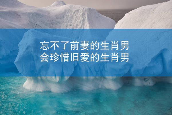 忘不了前妻的生肖男 会珍惜旧爱的生肖男