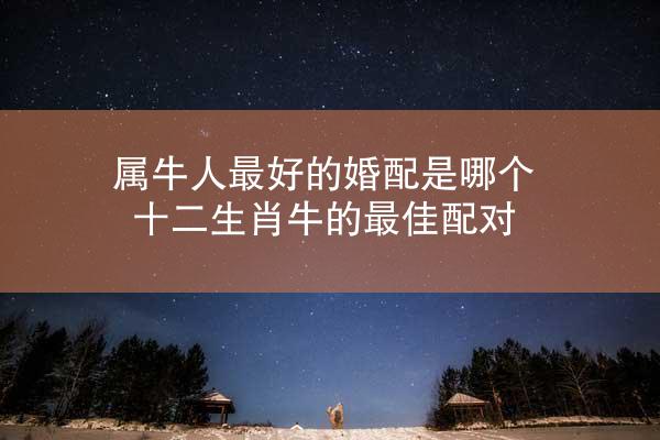 属牛人最好的婚配是哪个 十二生肖牛的最佳配对
