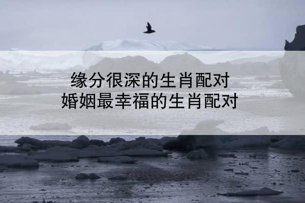 缘分很深的生肖配对 婚姻最幸福的生肖配对