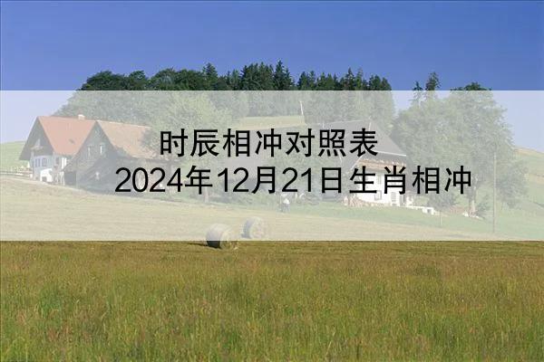 时辰相冲对照表 2024年12月21日生肖相冲