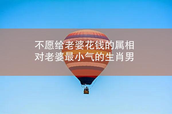 不愿给老婆花钱的属相 对老婆最小气的生肖男