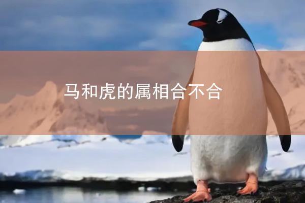 马和虎的属相合不合