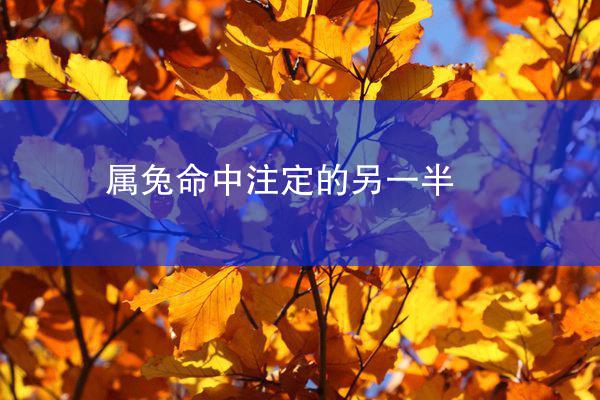 属兔命中注定的另一半