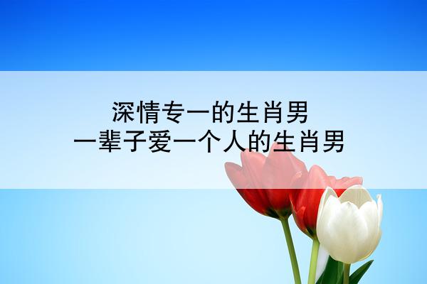 深情专一的生肖男 一辈子爱一个人的生肖男