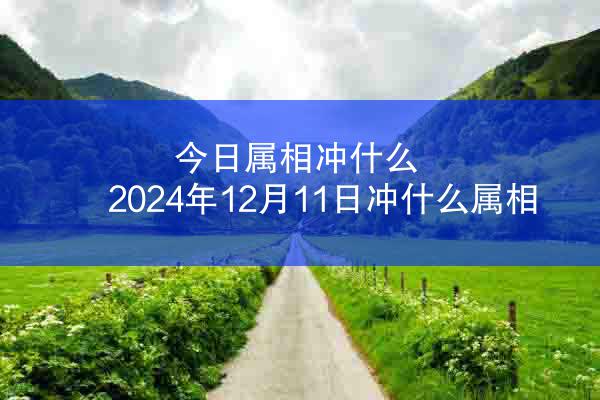 今日属相冲什么 2024年12月11日冲什么属相