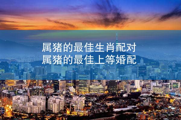 属猪的最佳生肖配对 属猪的最佳上等婚配