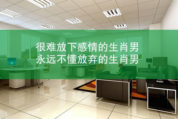 很难放下感情的生肖男 永远不懂放弃的生肖男