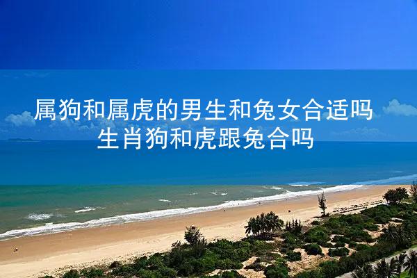 属狗和属虎的男生和兔女合适吗 生肖狗和虎跟兔合吗