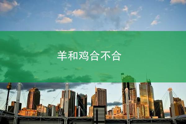 羊和鸡合不合