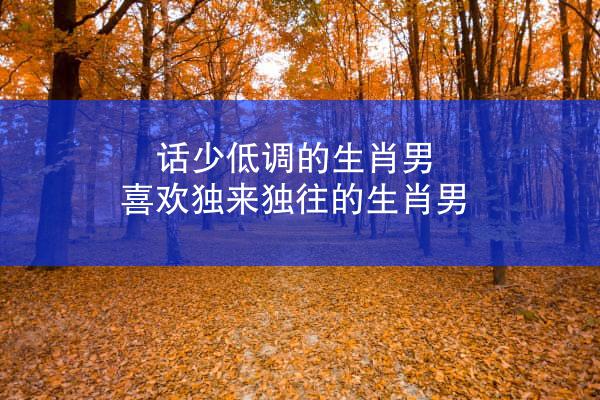 话少低调的生肖男 喜欢独来独往的生肖男