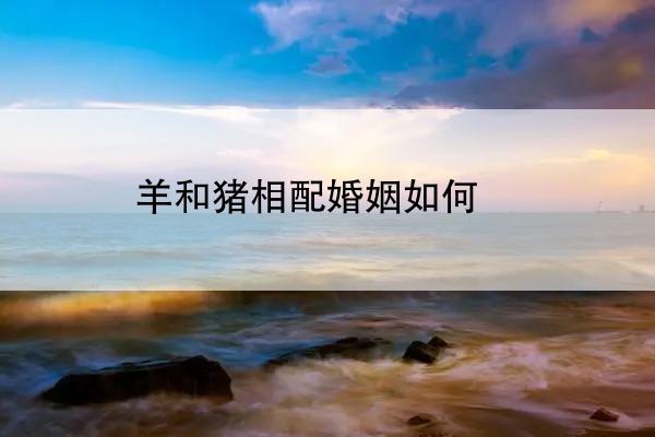 羊和猪相配婚姻如何