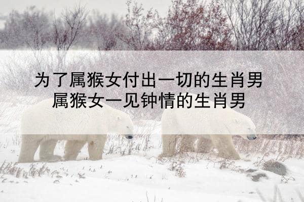 为了属猴女付出一切的生肖男 属猴女一见钟情的生肖男