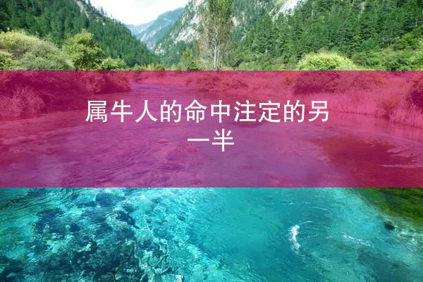 属牛人的命中注定的另一半