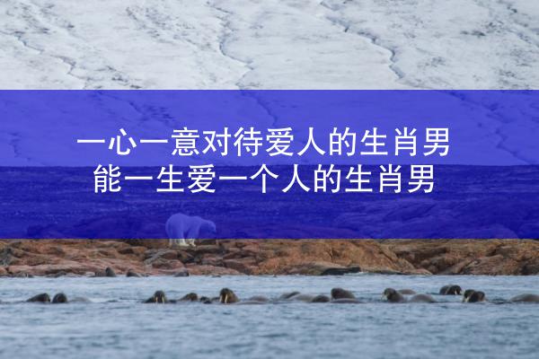 一心一意对待爱人的生肖男 能一生爱一个人的生肖男