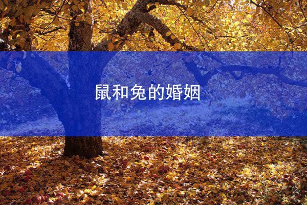 鼠和兔的婚姻