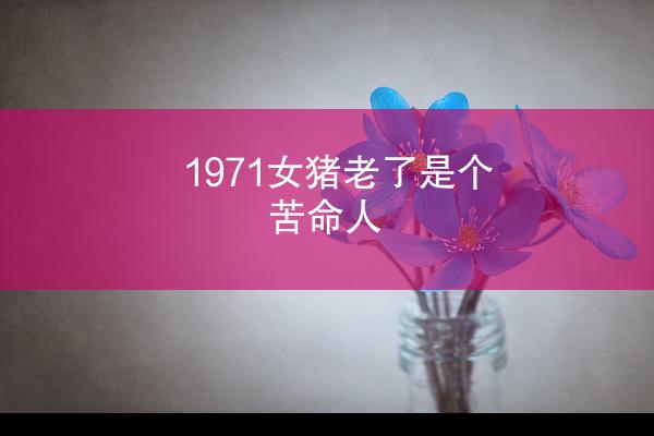 1971女猪老了是个苦命人