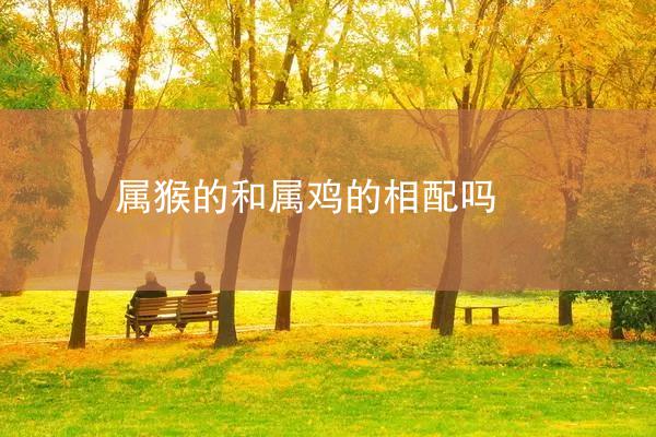 属猴的和属鸡的相配吗