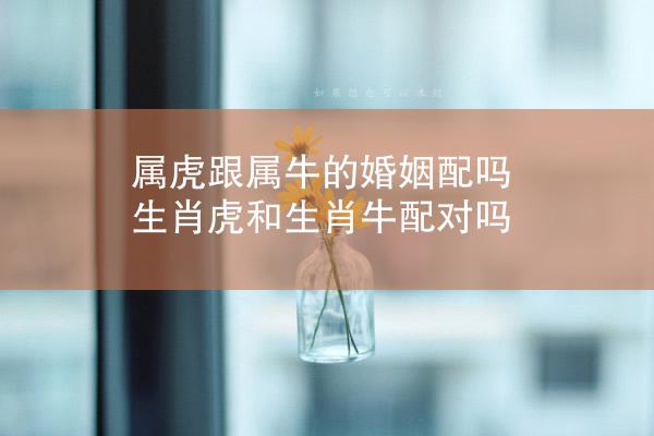 属虎跟属牛的婚姻配吗 生肖虎和生肖牛配对吗