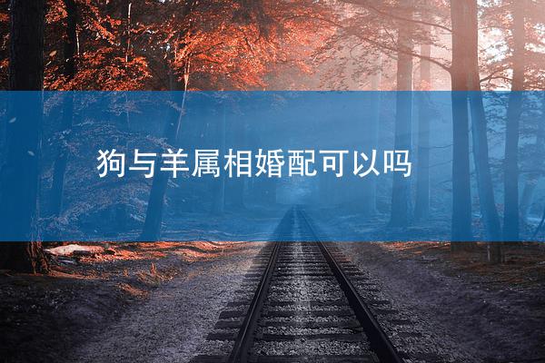 狗与羊属相婚配可以吗