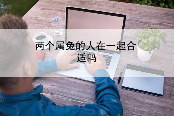 两个属兔的人在一起合适吗