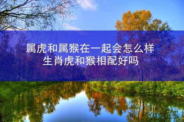 属虎和属猴在一起会怎么样 生肖虎和猴相配好吗